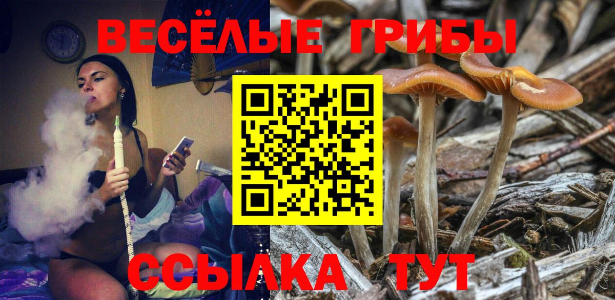 Галлюциногенные грибы MAGIC MUSHROOMS  Вход с VPN  Фрязино  Галлюциногенные грибы GOLDEN TEACHER 